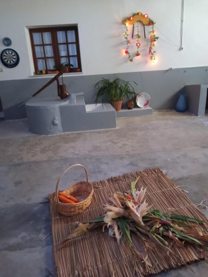 Casa Da Vovo Ceu - Casa De Campo Gandaresa - Country House, Entre Coimbra E Aveiro, A 15 Minutos Carro Praia Mira - Quintal Com Piscina Insuflavel Кантаньеди Экстерьер фото